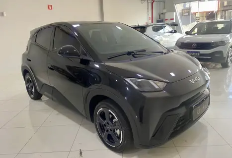 BYD Dolphin Mini 38 KW ELTRICO, Foto 14