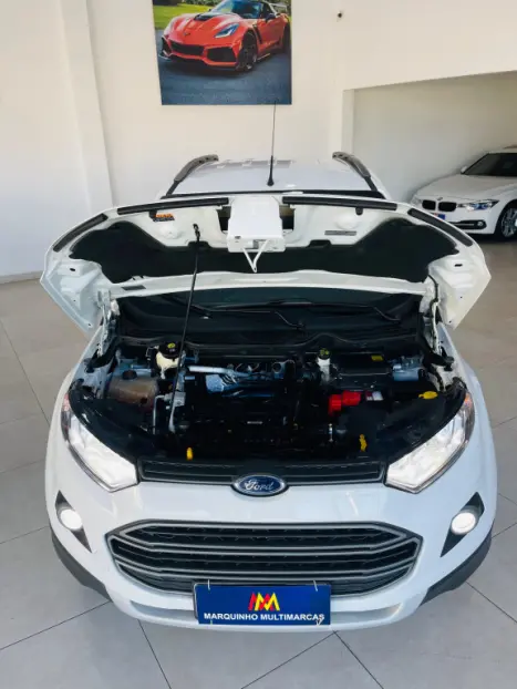 FORD Ecosport 1.6 4P FREESTYLE FLEX, Foto 10