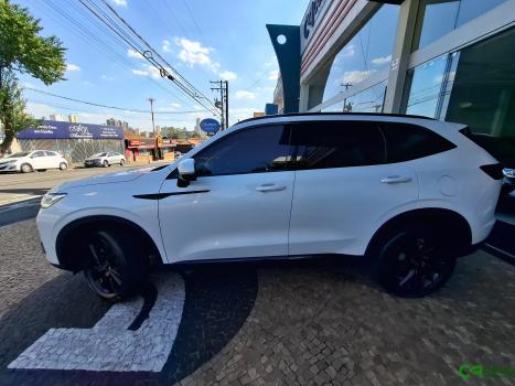 GWM Haval H6 1.5 16V 4P HEV PREMIUM E-TRACTION AUTOMTICO, Foto 11