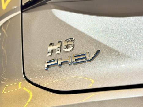 GWM Haval H6 1.5 16V 4P PHEV PREMIUM AWD E-TRACTION AUTOMTICO, Foto 12