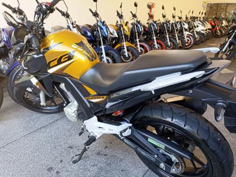 HONDA CB 250 F Twister FLEXONE, Foto 10