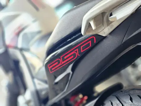 HONDA CB 250 F Twister FLEXONE, Foto 9