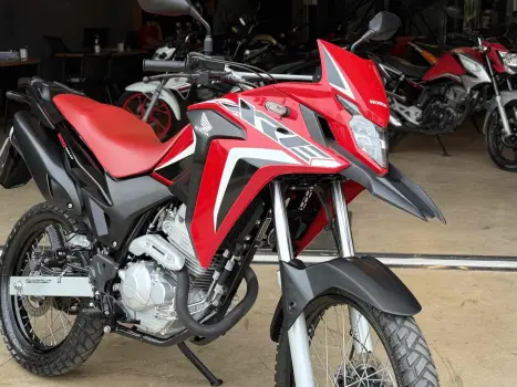 HONDA XRE 300 RALLY ABS, Foto 5