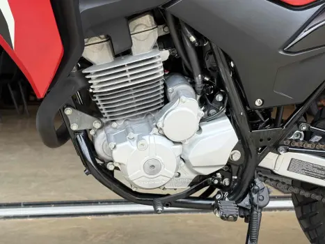 HONDA XRE 300 RALLY ABS, Foto 7
