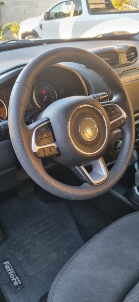 JEEP Renegade 1.8 16V 4P FLEX, Foto 10