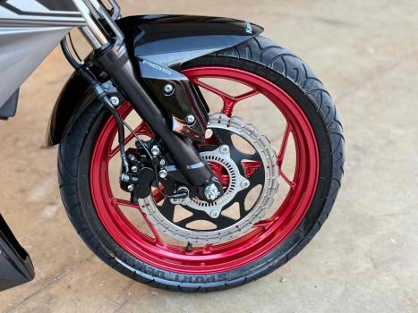 KAWASAKI Z 300 ABS, Foto 6