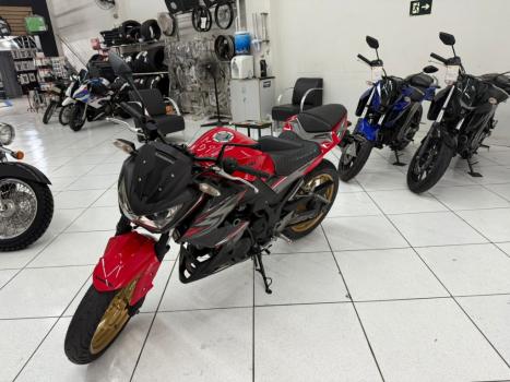 KAWASAKI Z 300 ABS, Foto 2