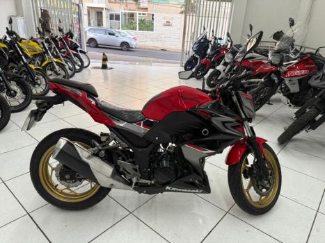 KAWASAKI Z 300 ABS, Foto 6