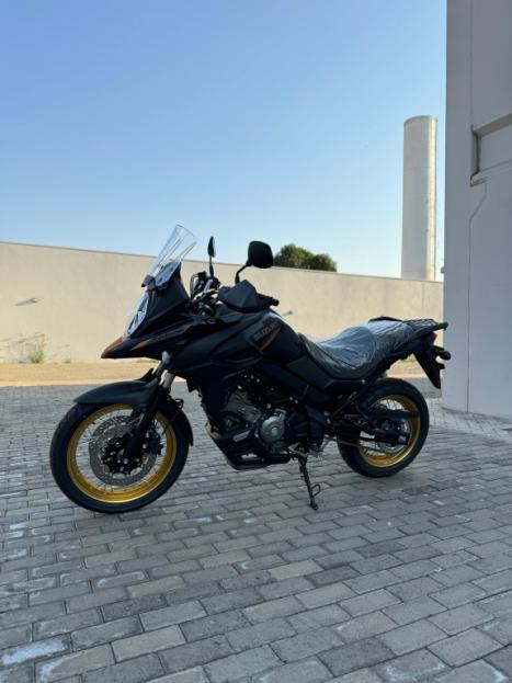 SUZUKI DL 650 V-Strom XT, Foto 2