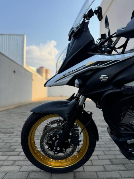 SUZUKI DL 650 V-Strom XT, Foto 4