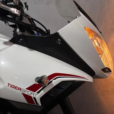 TRIUMPH Tiger 1050 , Foto 7