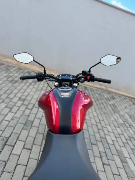 YAMAHA FZ 15 ABS, Foto 5