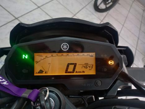 YAMAHA FZ 25 250 Fazer Flex , Foto 5