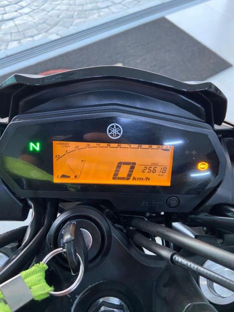 YAMAHA FZ 25 250 Fazer Flex , Foto 8