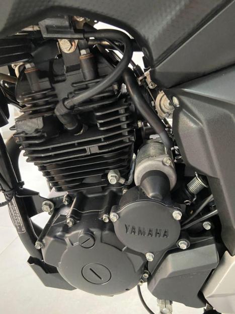 YAMAHA FZ 25 250 Fazer Flex , Foto 9