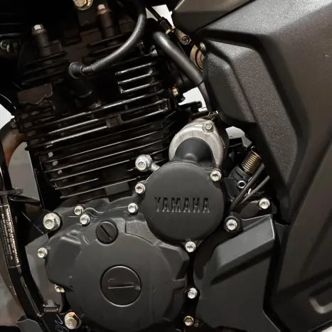 YAMAHA FZ 25 250 Fazer Flex , Foto 12