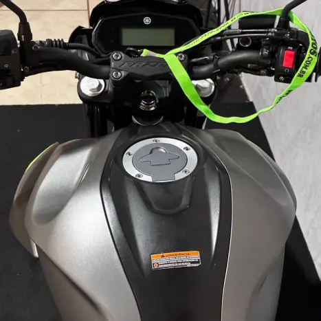 YAMAHA FZ 25 250 Fazer Flex , Foto 15