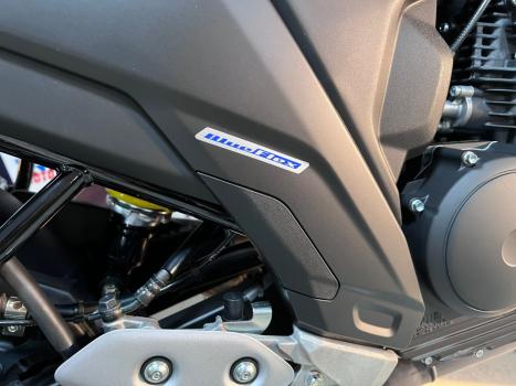 YAMAHA FZ 25 250 Fazer Flex , Foto 3