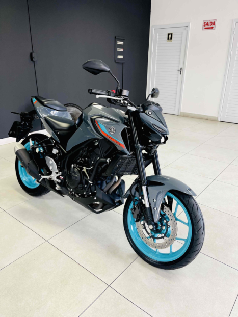 YAMAHA MT-03 300 ABS, Foto 3