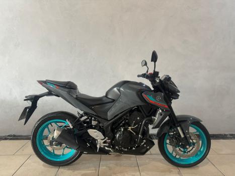 YAMAHA MT-03 300 ABS, Foto 1