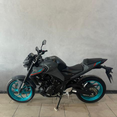 YAMAHA MT-03 300 ABS, Foto 7