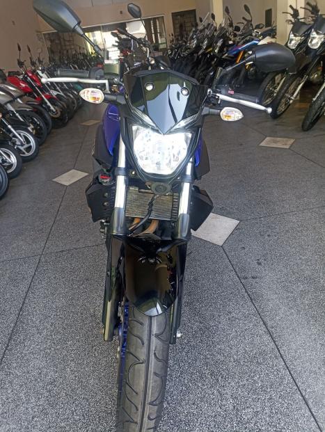 YAMAHA MT-03 300 ABS, Foto 5