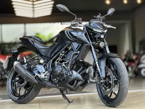 YAMAHA MT-03 300 ABS, Foto 1