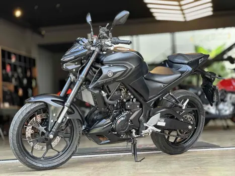 YAMAHA MT-03 300 ABS, Foto 2