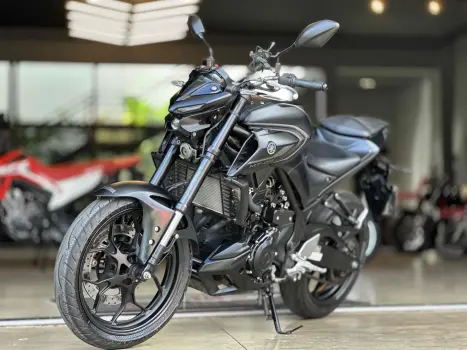 YAMAHA MT-03 300 ABS, Foto 3