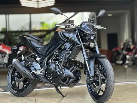 YAMAHA MT-03 300 ABS, Foto 4