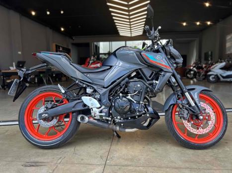 YAMAHA MT-03 300 ABS, Foto 1