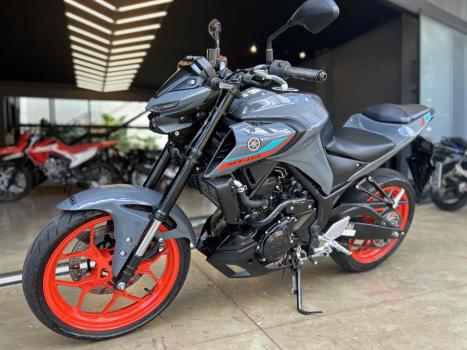 YAMAHA MT-03 300 ABS, Foto 6