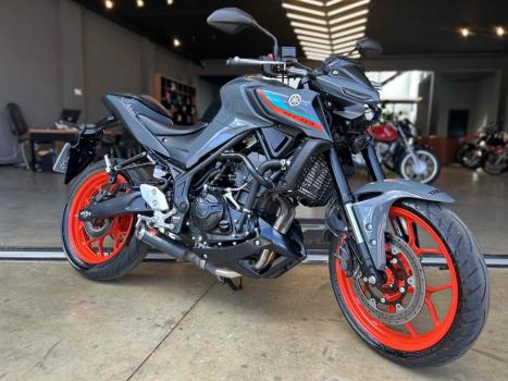 YAMAHA MT-03 300 ABS, Foto 13