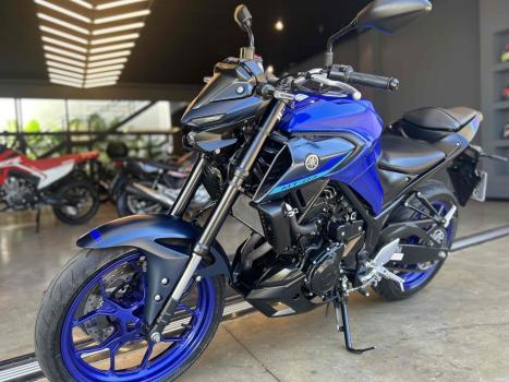 YAMAHA MT-03 300 ABS, Foto 6