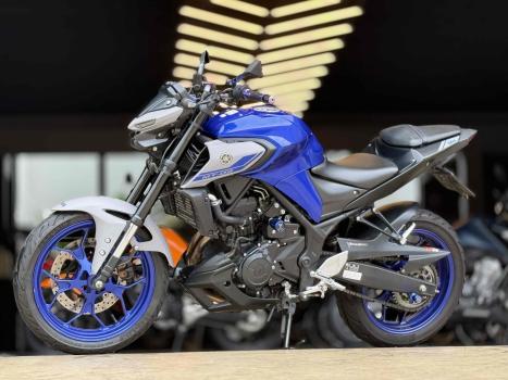 YAMAHA MT-03 300 ABS, Foto 2