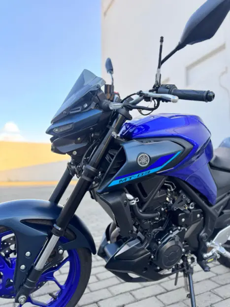 YAMAHA MT-03 300 ABS, Foto 3