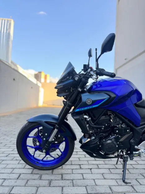 YAMAHA MT-03 300 ABS, Foto 4