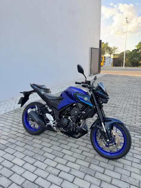 YAMAHA MT-03 300 ABS, Foto 8