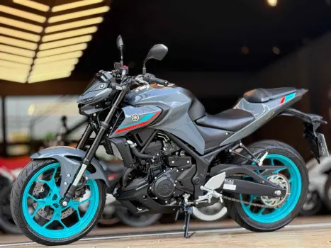 YAMAHA MT-03 300 ABS, Foto 2