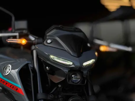 YAMAHA MT-03 300 ABS, Foto 6