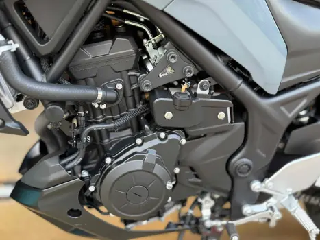 YAMAHA MT-03 300 ABS, Foto 7