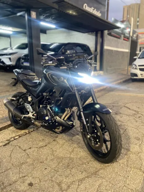 YAMAHA MT-03 300 ABS, Foto 3