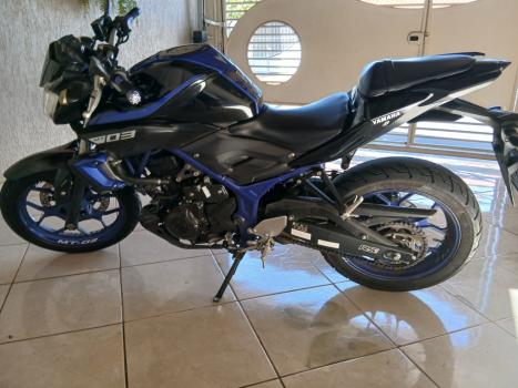 YAMAHA MT-03 300 ABS, Foto 3