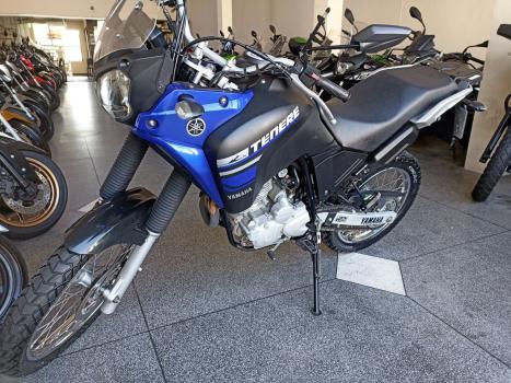YAMAHA Tener 250 XTZ, Foto 4