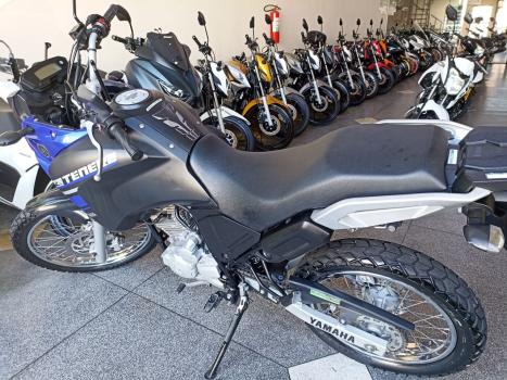 YAMAHA Tener 250 XTZ, Foto 10