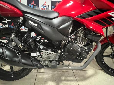 YAMAHA YS Fazer 150 BLUE FLEX, Foto 12