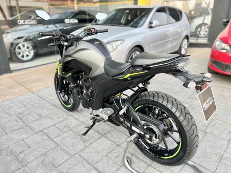 YAMAHA YS Fazer 250 LIMITED EDITION, Foto 5