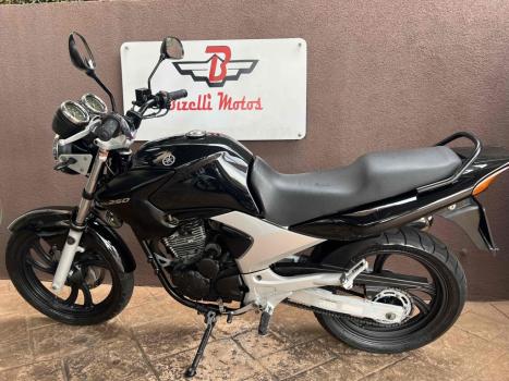 YAMAHA YS Fazer 250 LIMITED EDITION, Foto 5