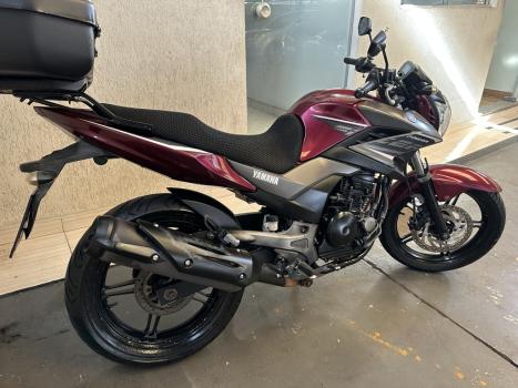 YAMAHA YS Fazer 250 BLUE FLEX, Foto 2