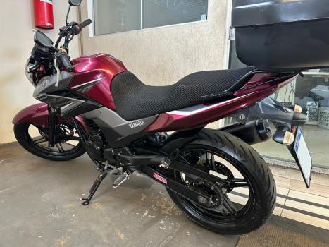YAMAHA YS Fazer 250 BLUE FLEX, Foto 7